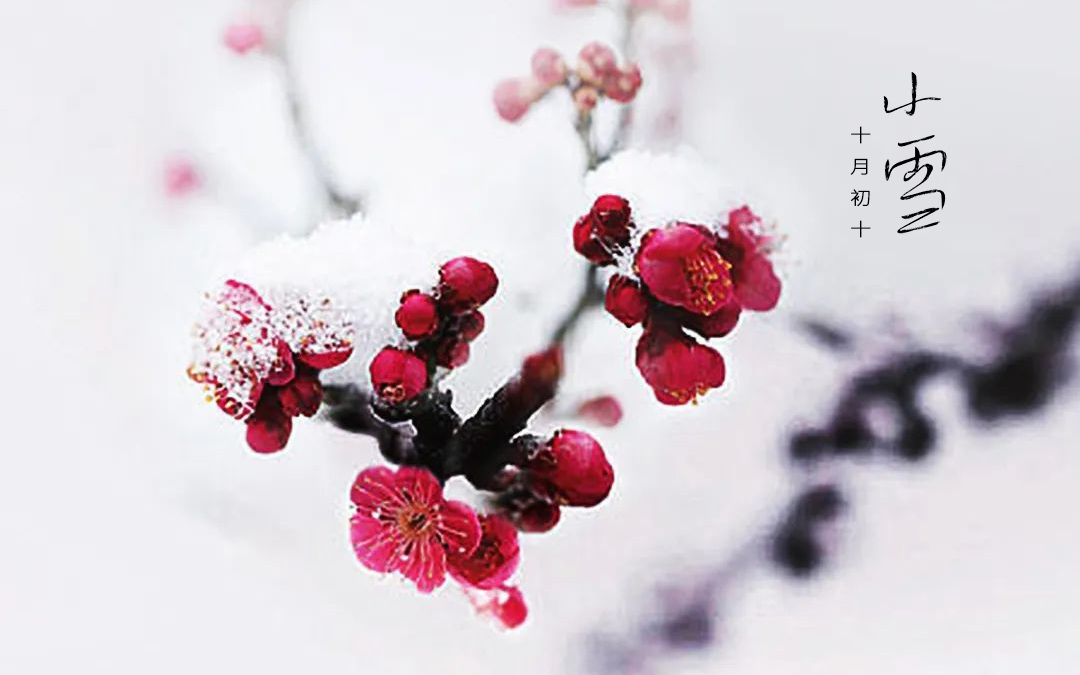 二十四節(jié)氣┃小雪 小雪天地清寒，境攬冬韻風(fēng)華